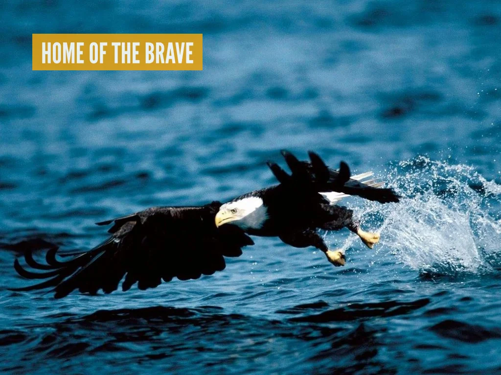 Rick Schuhmann_Slides.038.jpg