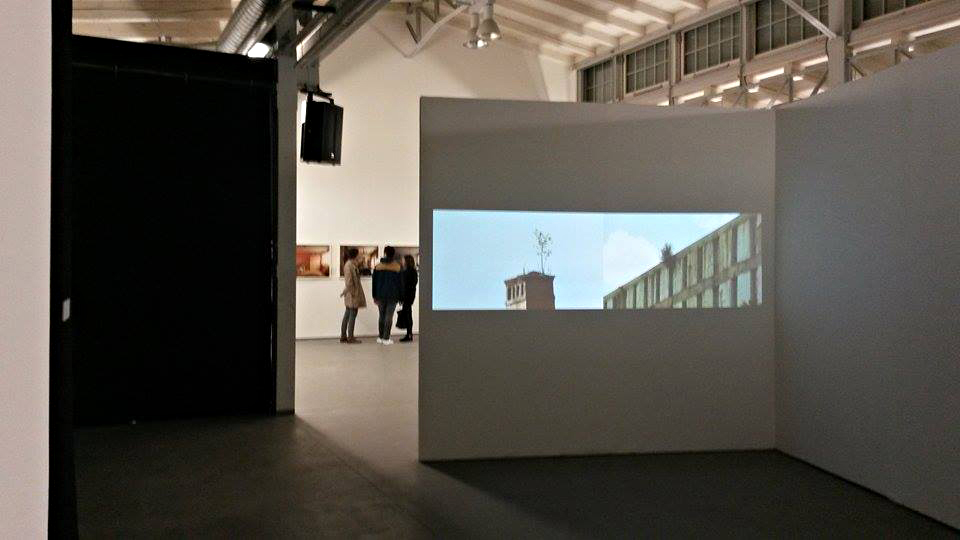 Installation view / Alex Mirutziu - Self portrait at 32