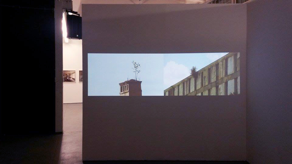 Installation view /Alex Mirutziu - Self portrait at 32