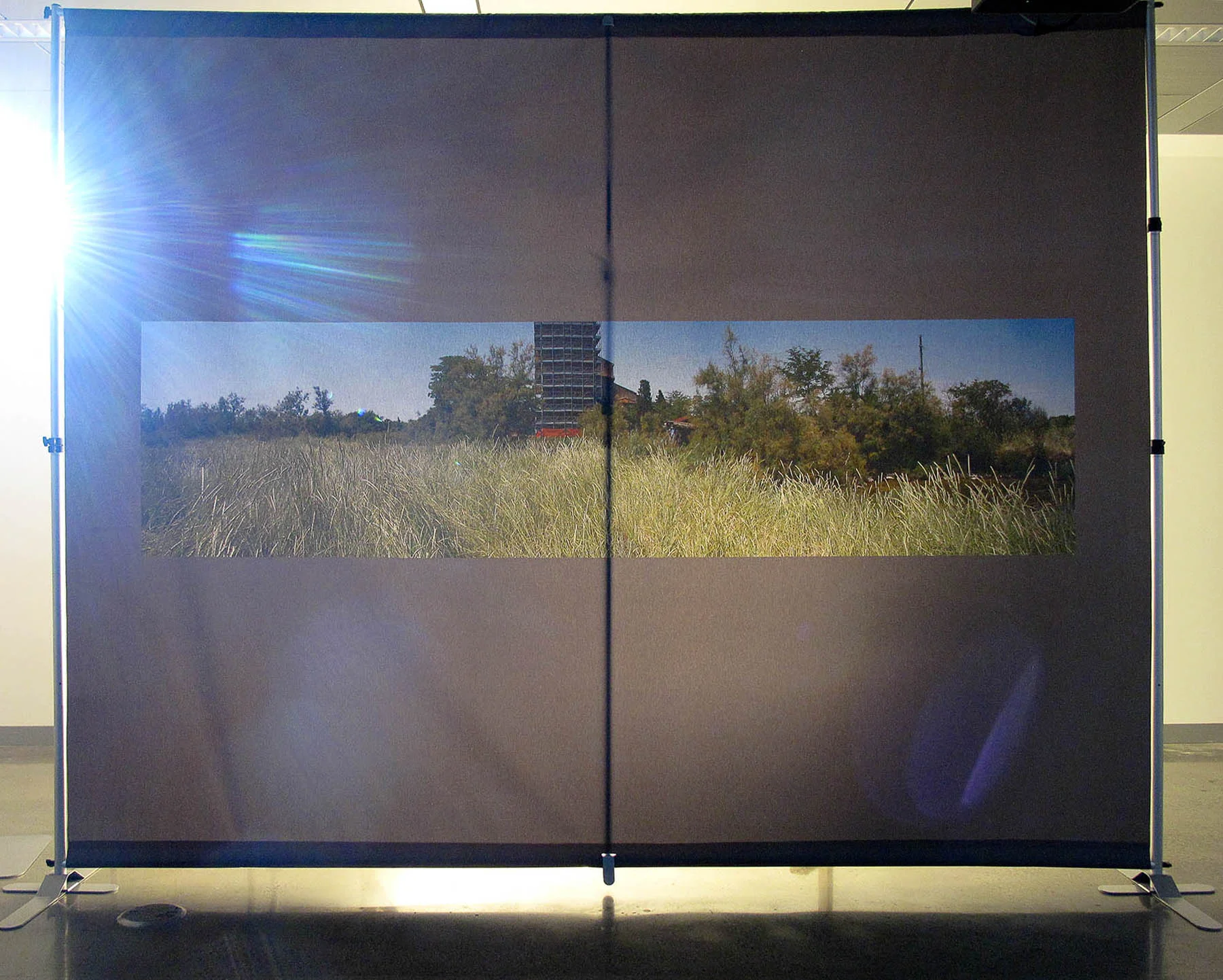 © Deborah A Garwood 2014