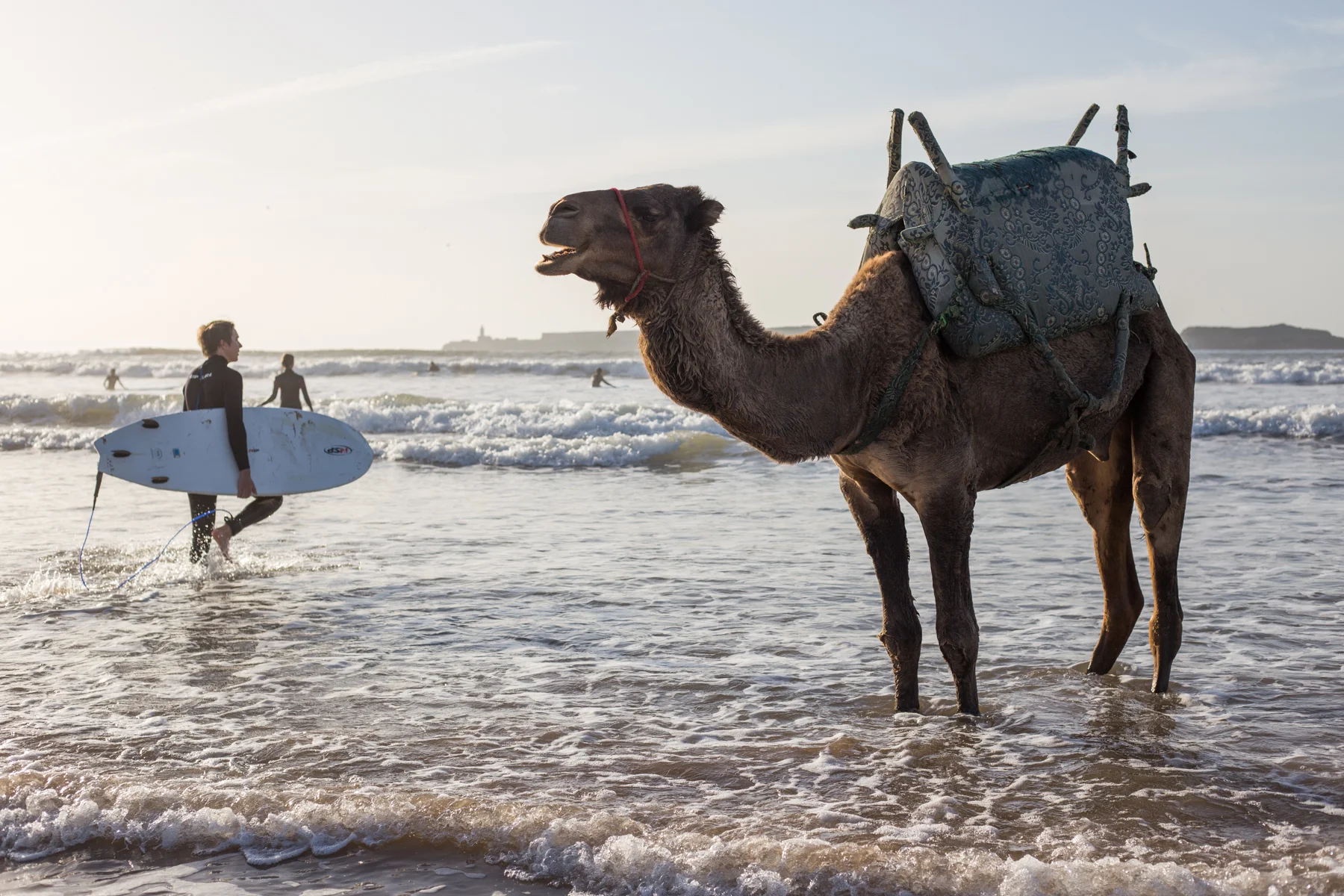 Eskogg_Morocco-1.jpg