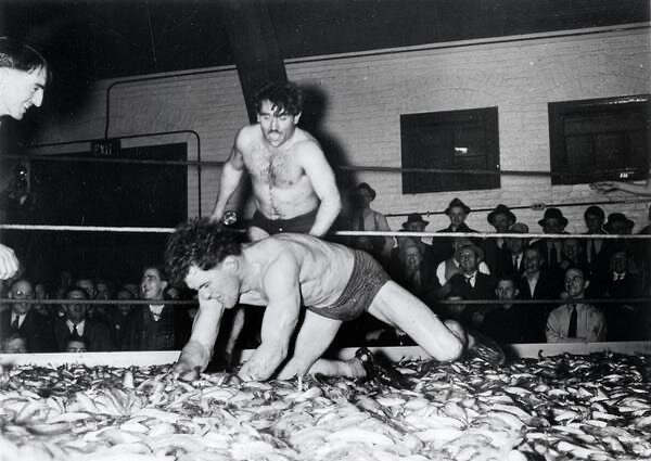 Smelt Wrestling in #Marinette, #Wisconsin. Why? You tell me. #SmeltCarnival #scandinavianamerican #NordicAmerican