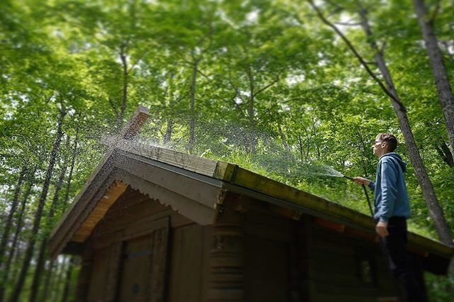 Have you watered your grass roof today? @binkhaven #ScandinavianAmerican #NordicAmerican