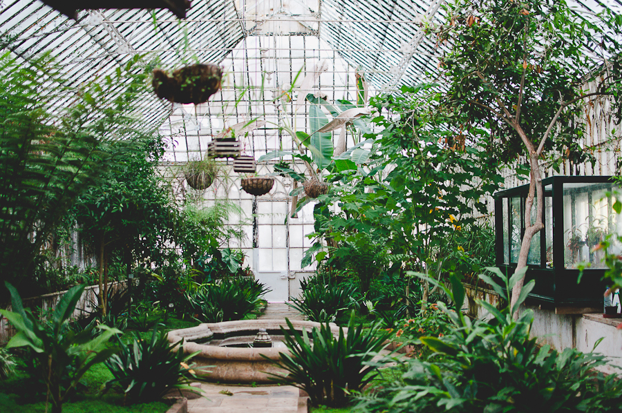 Coimbra-Greenhouse_6.jpg