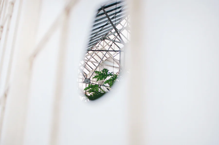 Coimbra-Greenhouse_2.jpg