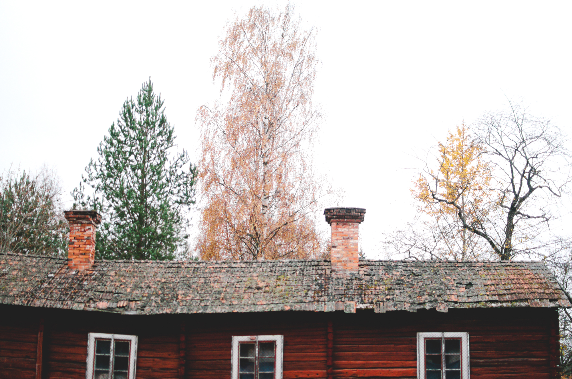 Barkarbacken_Dalarna_MartaVargas-4.jpg