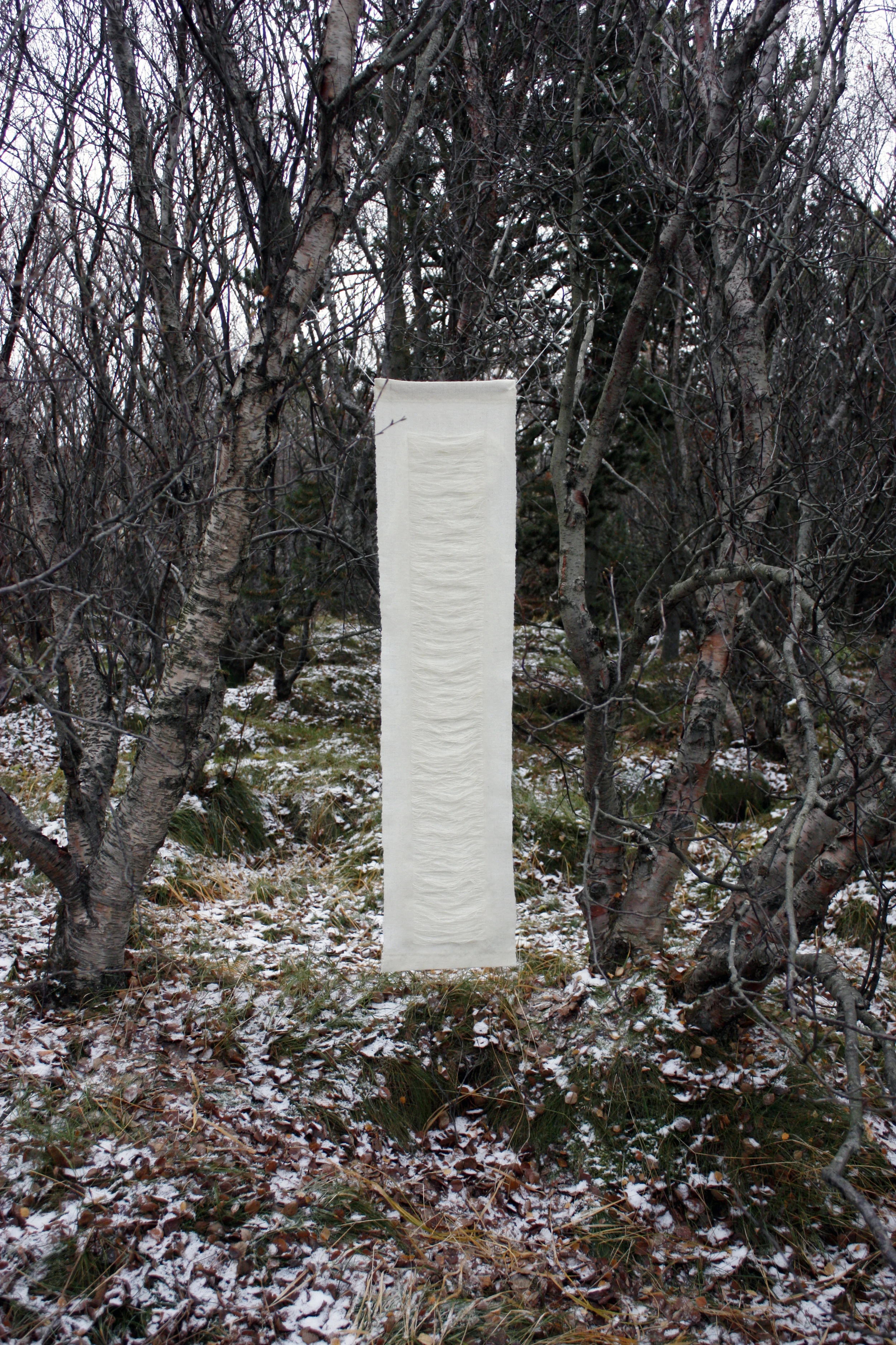 Icelandic Snowscape, 2015