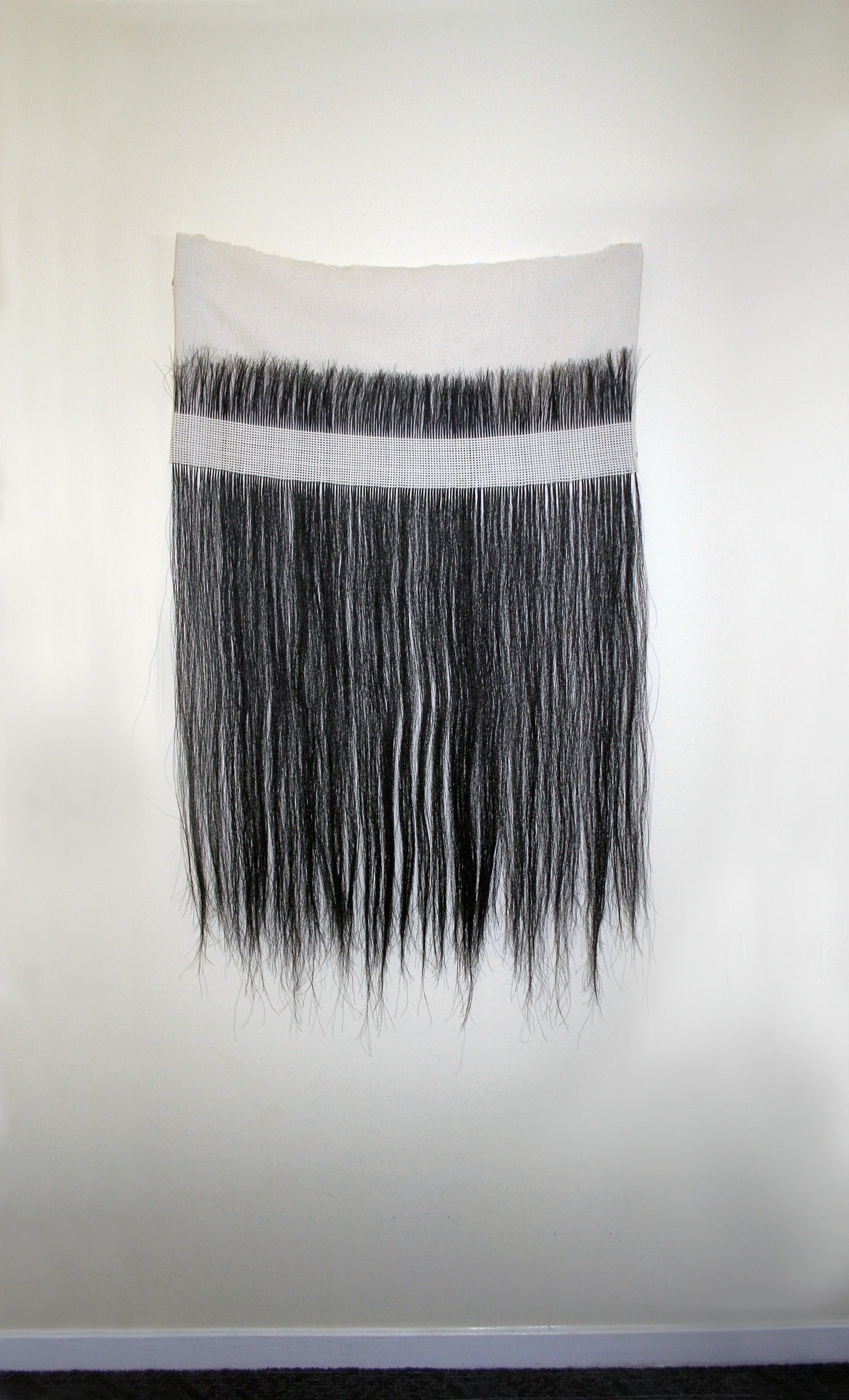 Icelandic Hestur, 2016