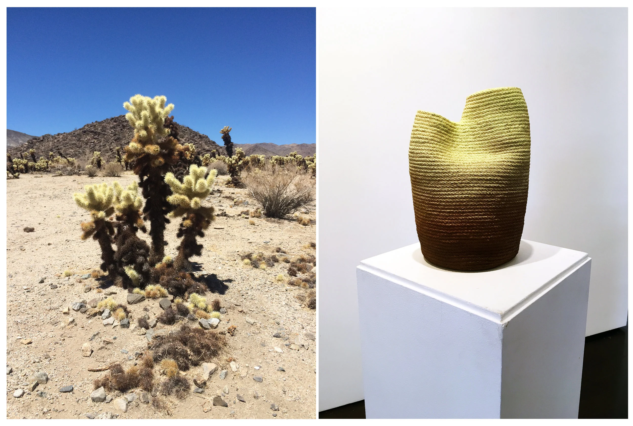 Cholla Family , 2016 Inselberg , 2016, cotton, spray paint, 9 x 14 x 7 inches