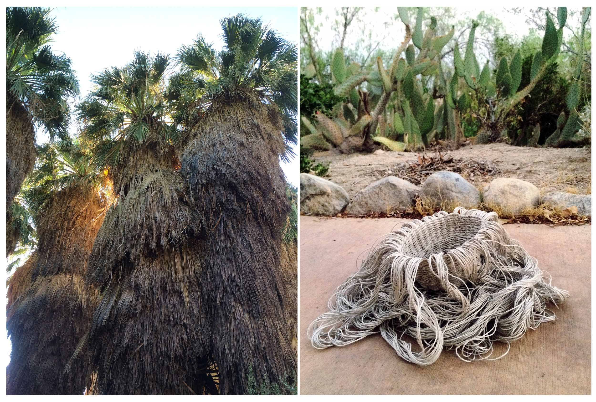 Sky Valley , 2016 Deconstructed Cholla, 2016, linen, 8 x 6 inches, draping variable