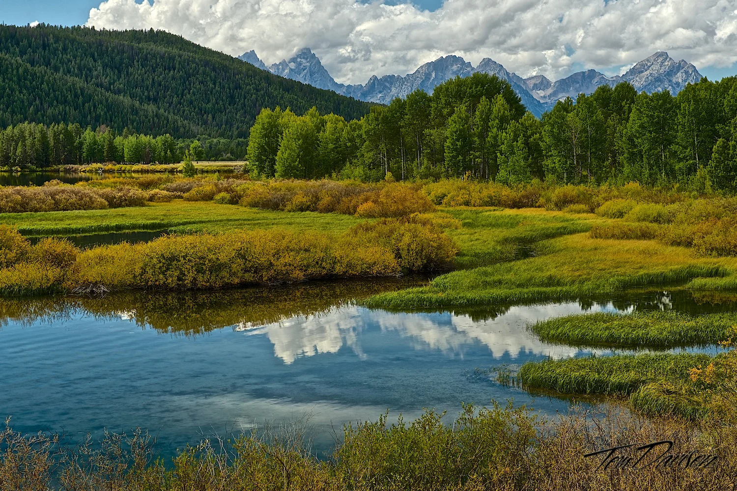 Snake river Marsh.jpg