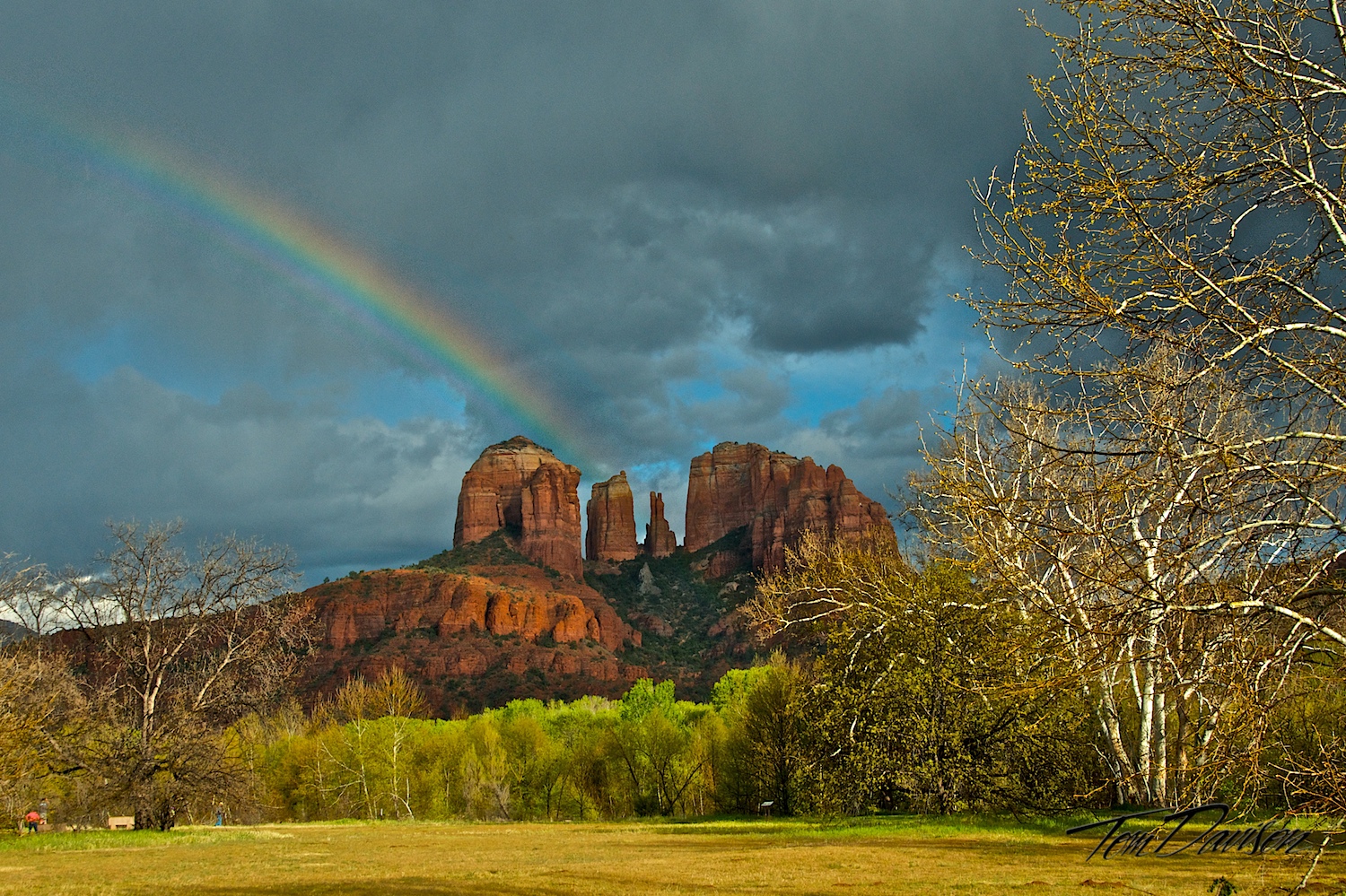 Cathedral Color.jpg