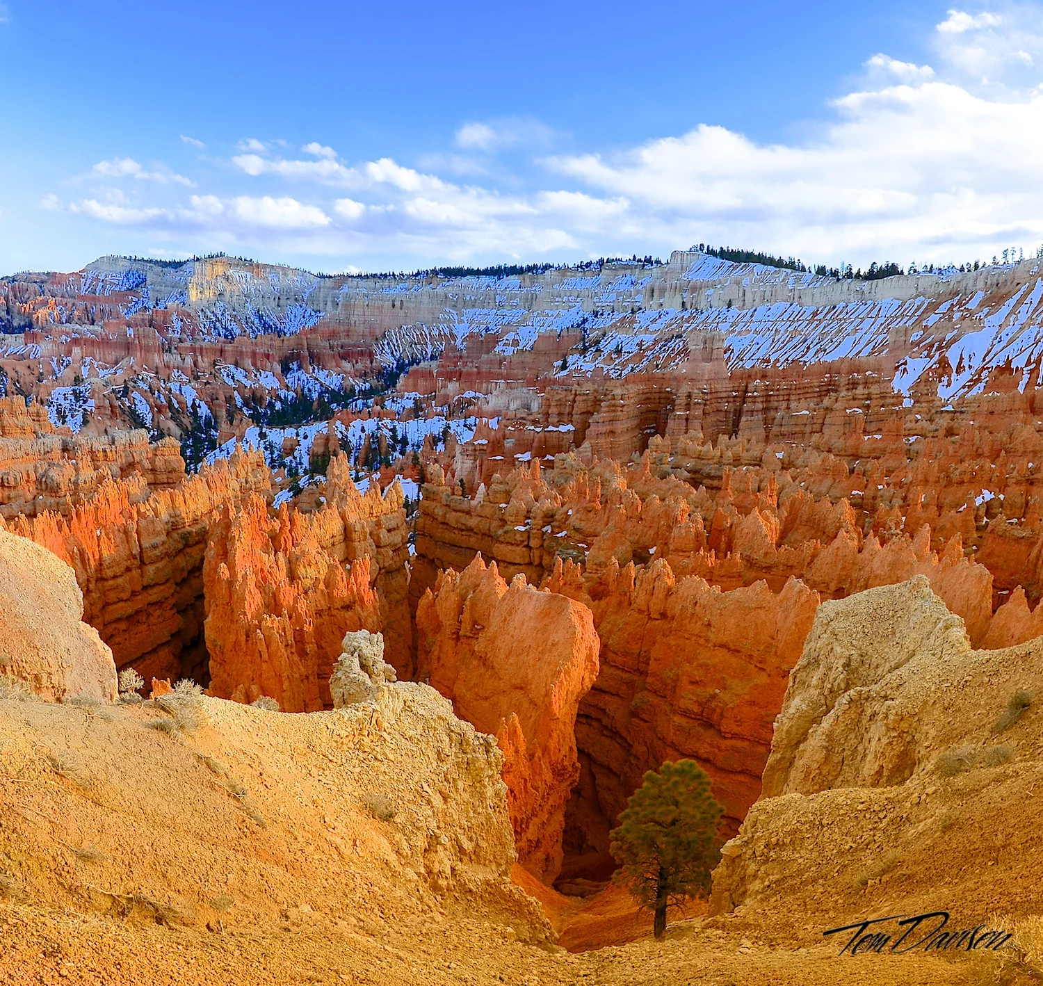Bryce Snow 'n' Glow.jpg