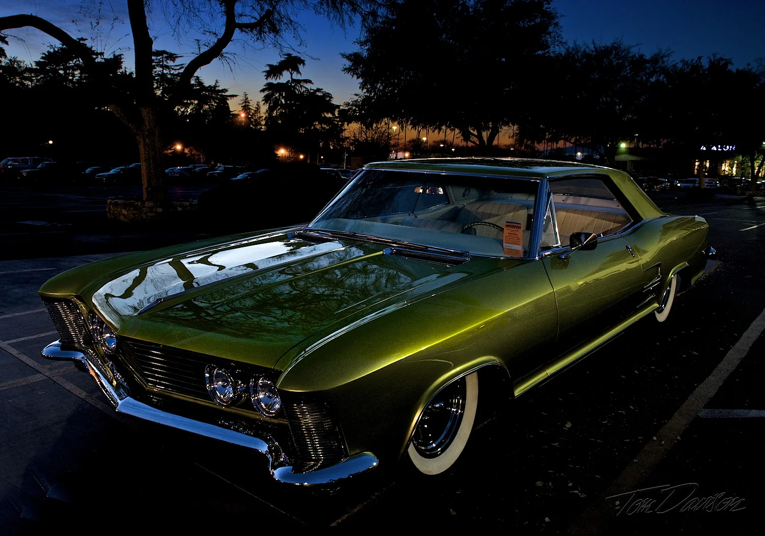 Lime in the Twilight.jpg