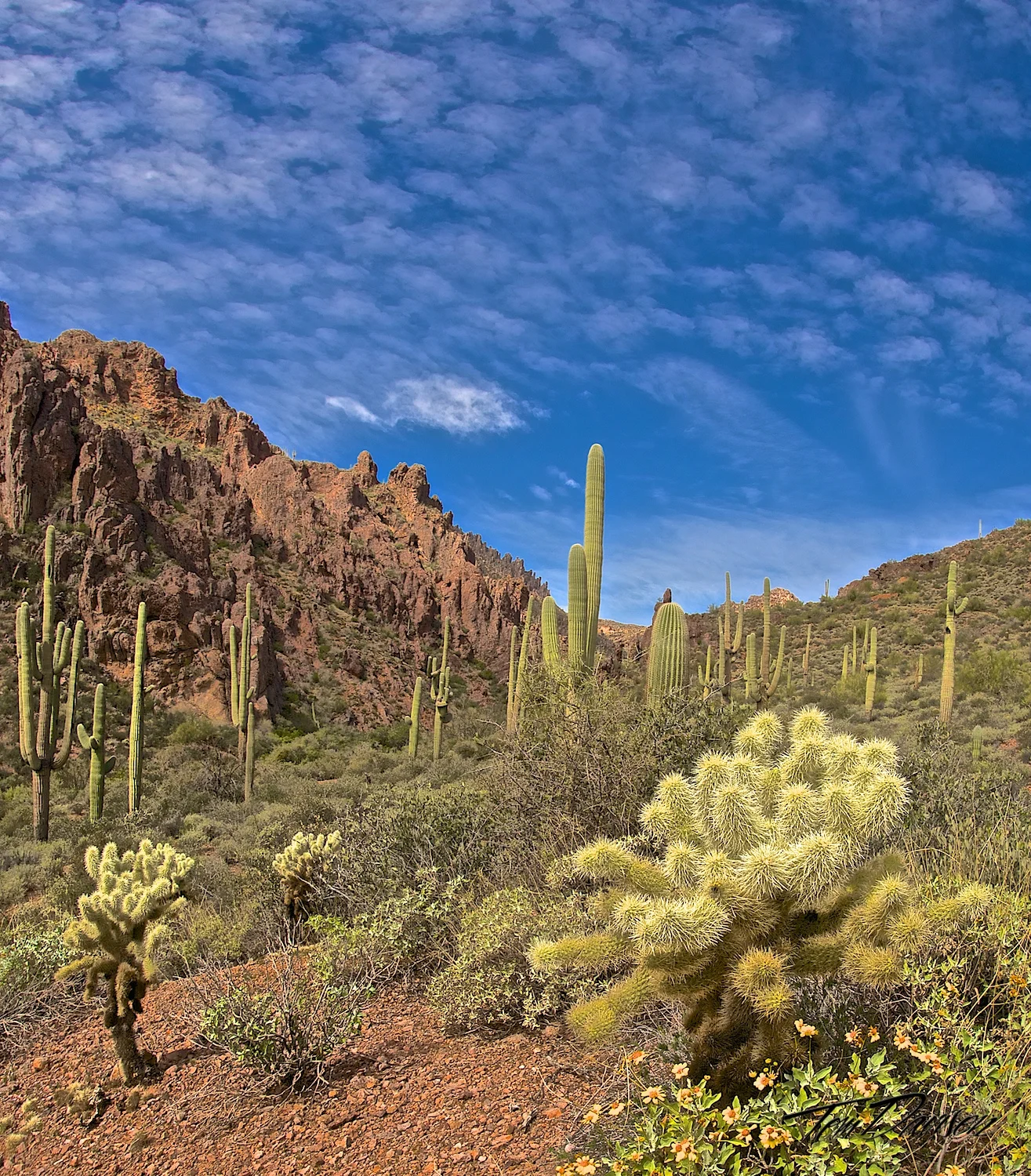 Superstitiom Wilderness.jpg