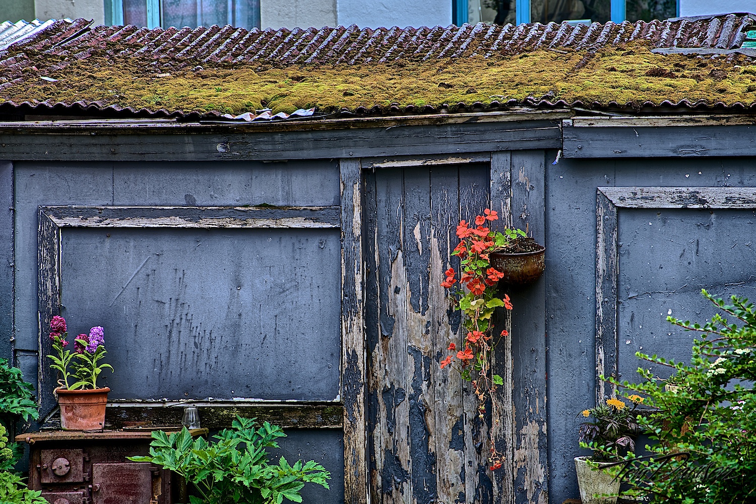 Color Shed.jpg