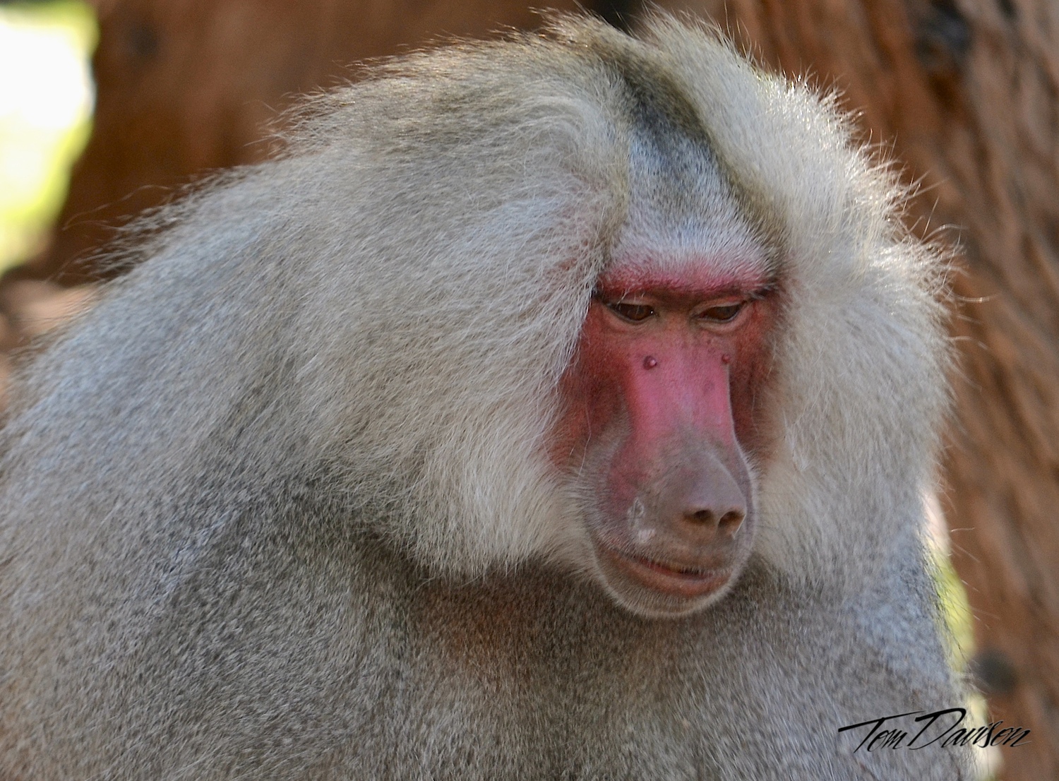 DSC_1019.jpg