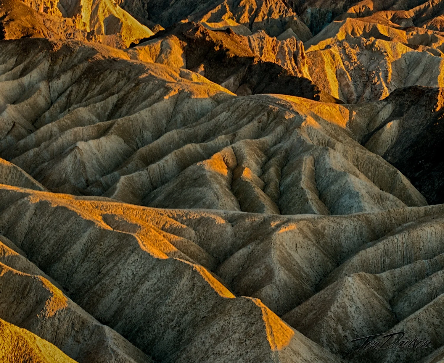 _DSC1360_HDR - Version 2.jpg