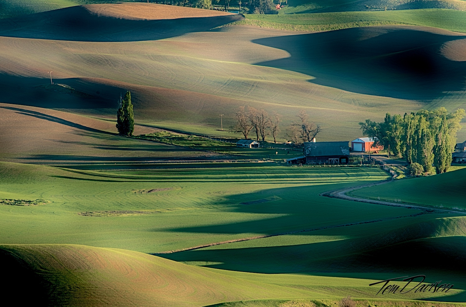 _DSC3026_HDR.jpg