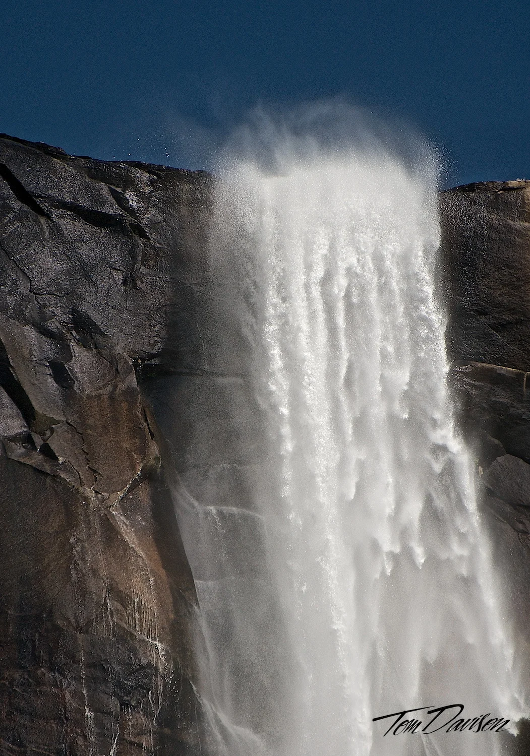 _DSC1571.jpg