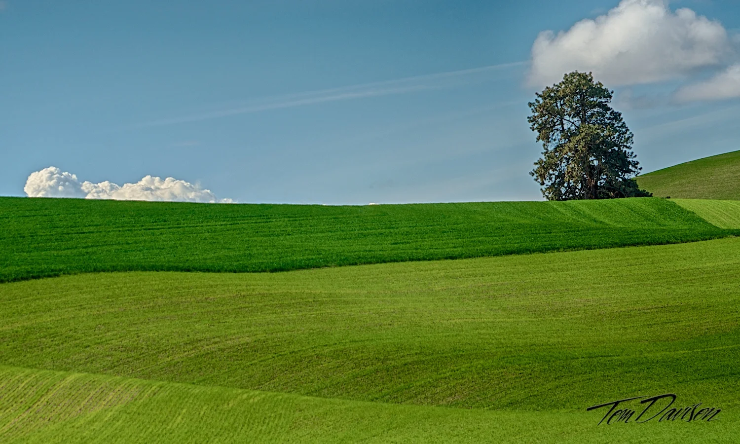 _DSC2895_HDR.jpg