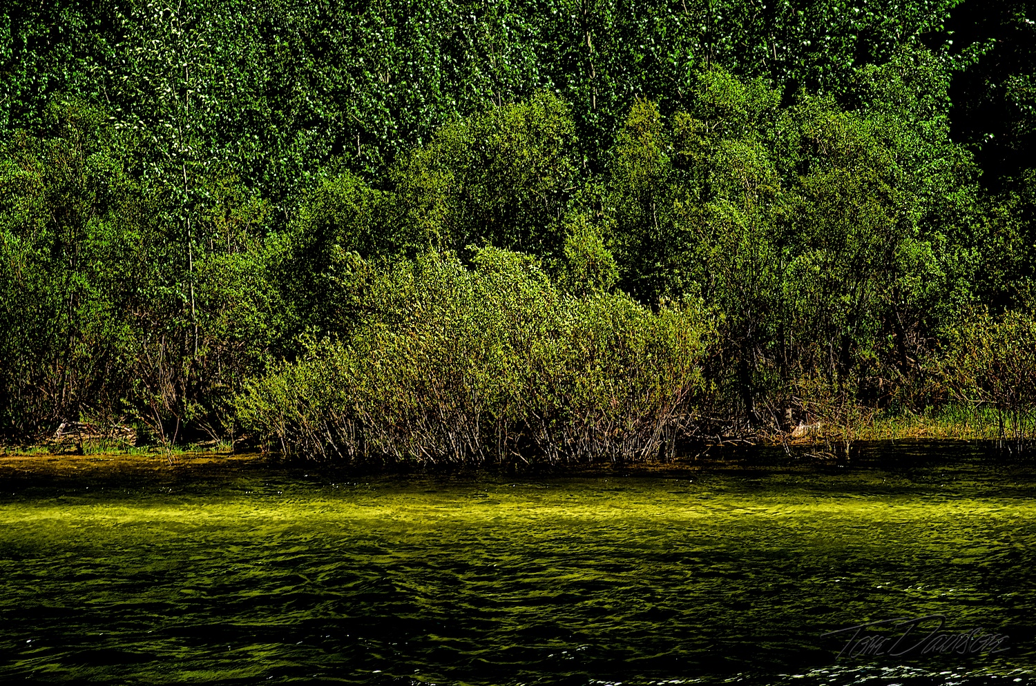 DSC_4691_HDR.jpg