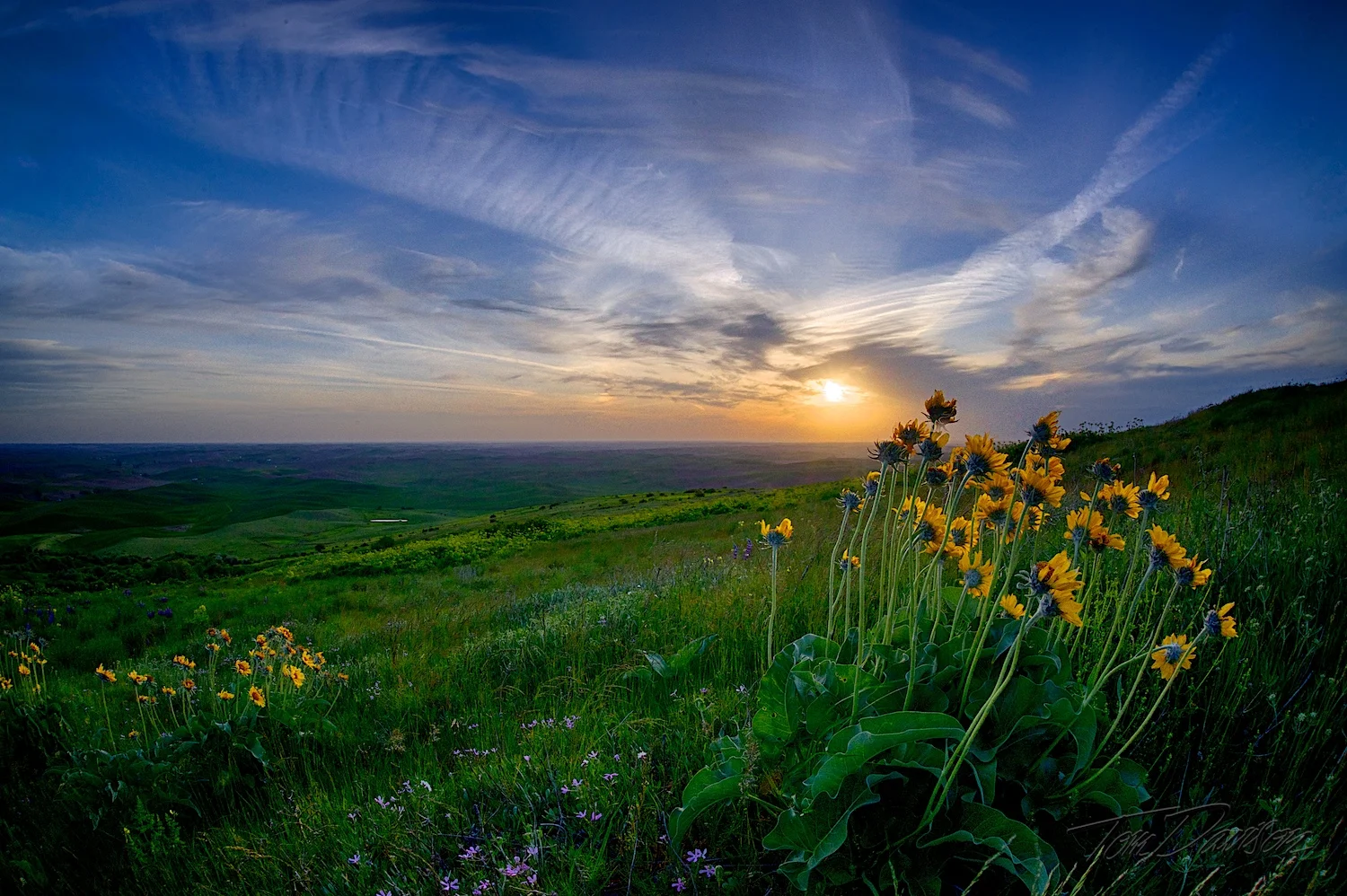 DSC_5403_HDR.jpg