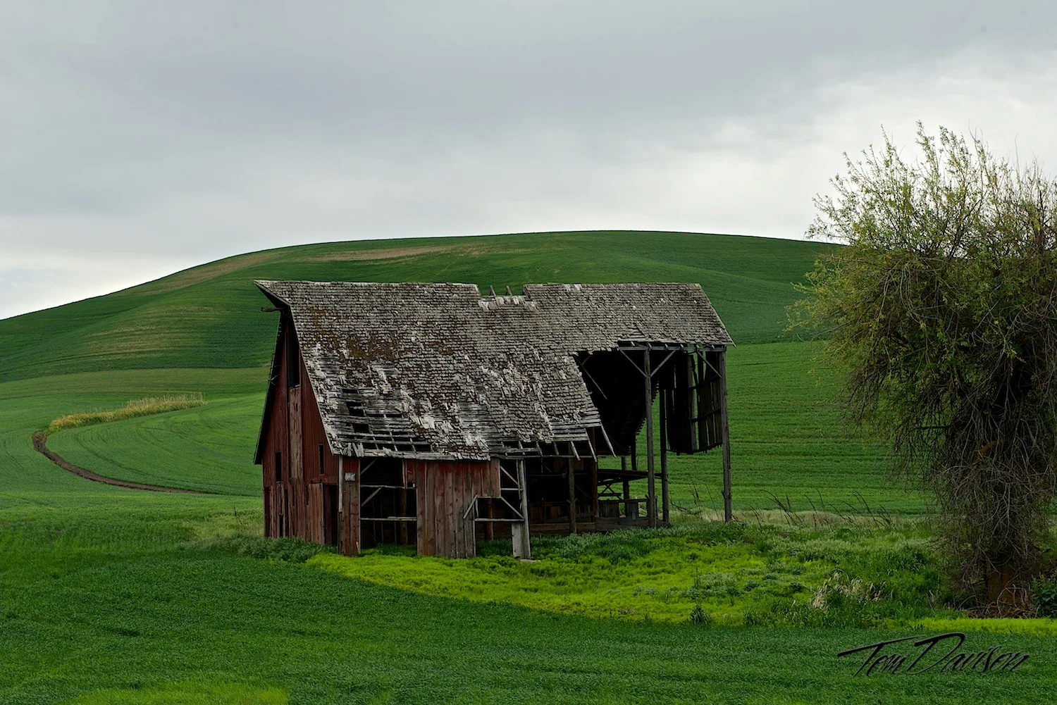 DSC_5814.jpg