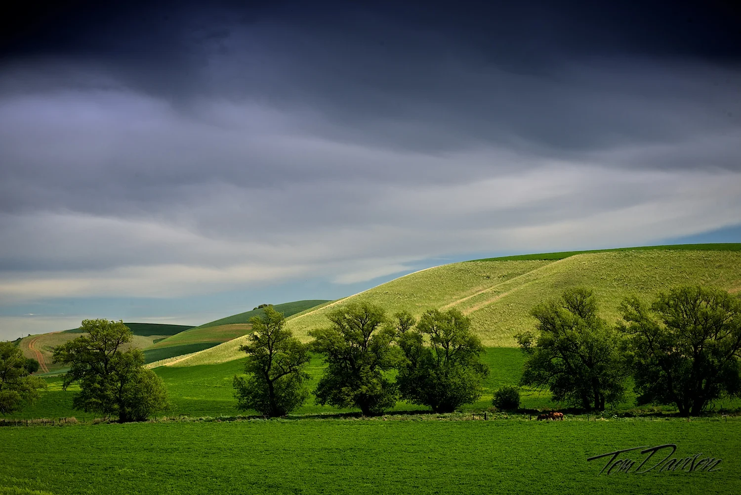 DSC_5850.jpg