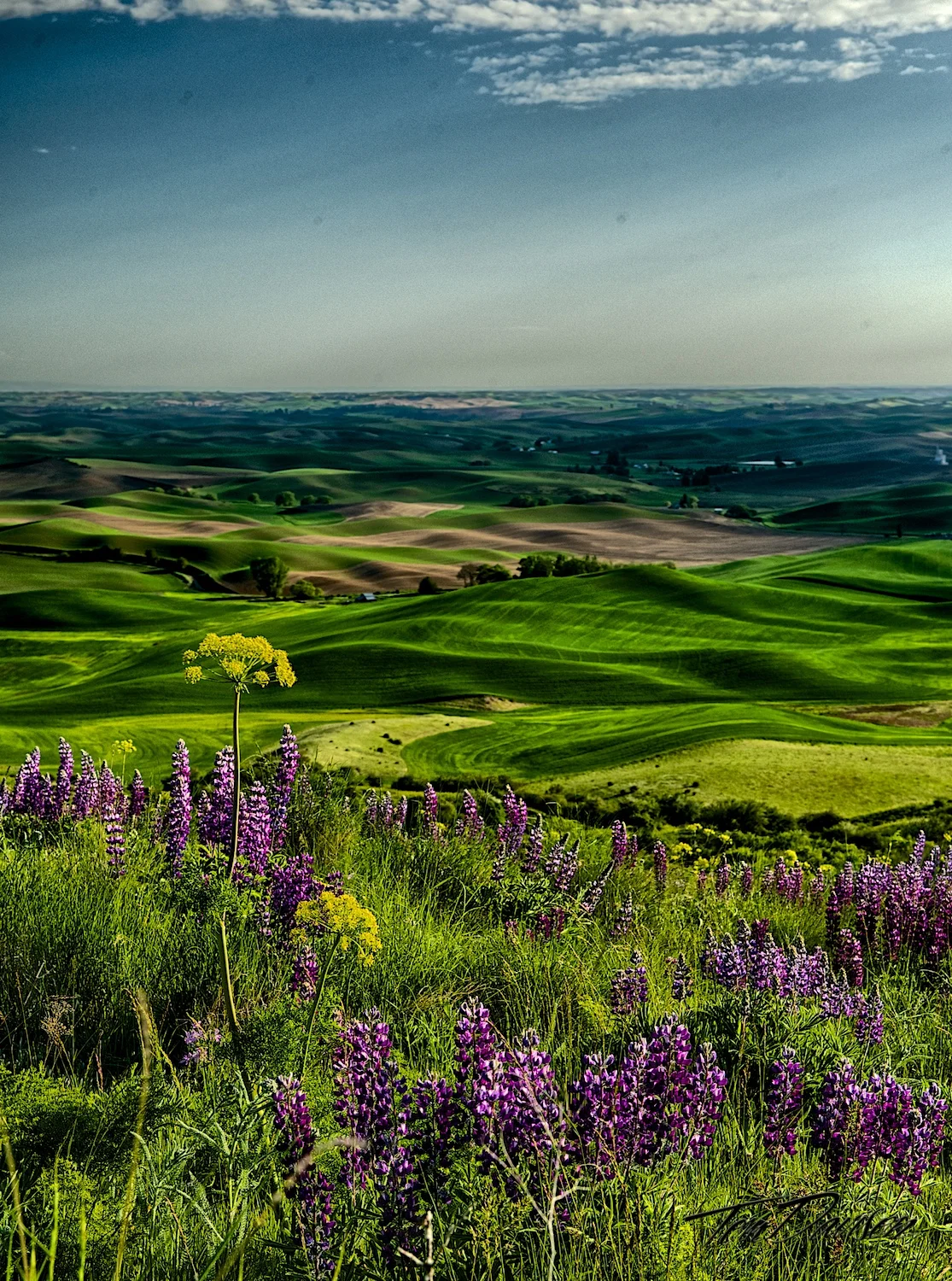 DSC_6005_HDR.jpg
