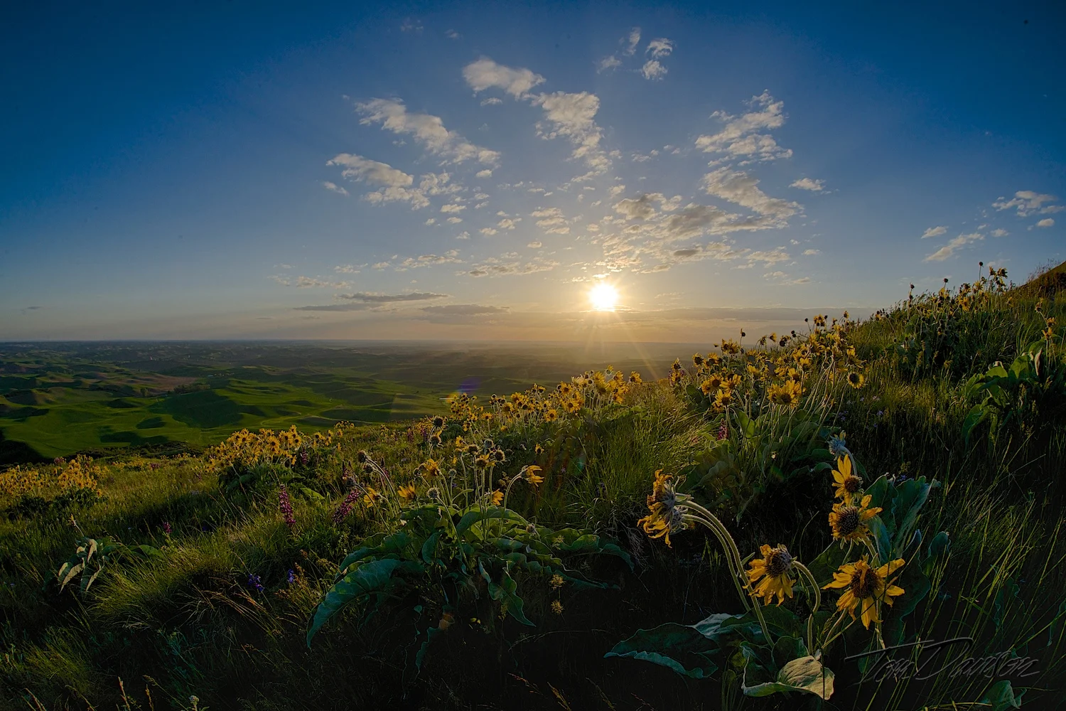 DSC_6039_HDR.jpg