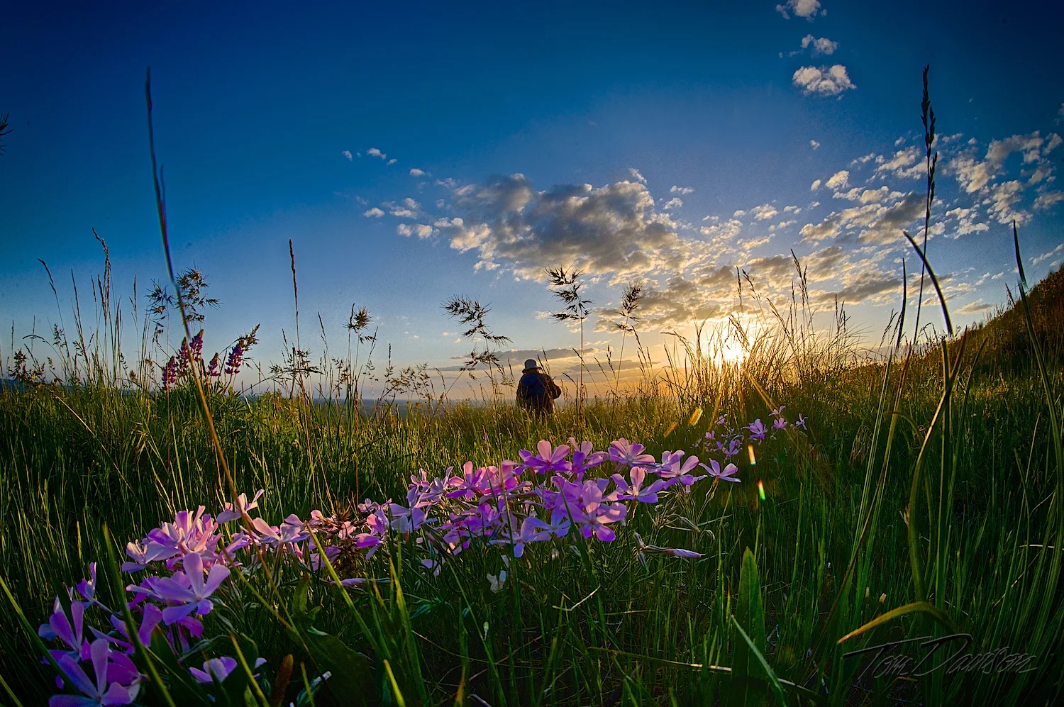 DSC_6047_HDR.jpg