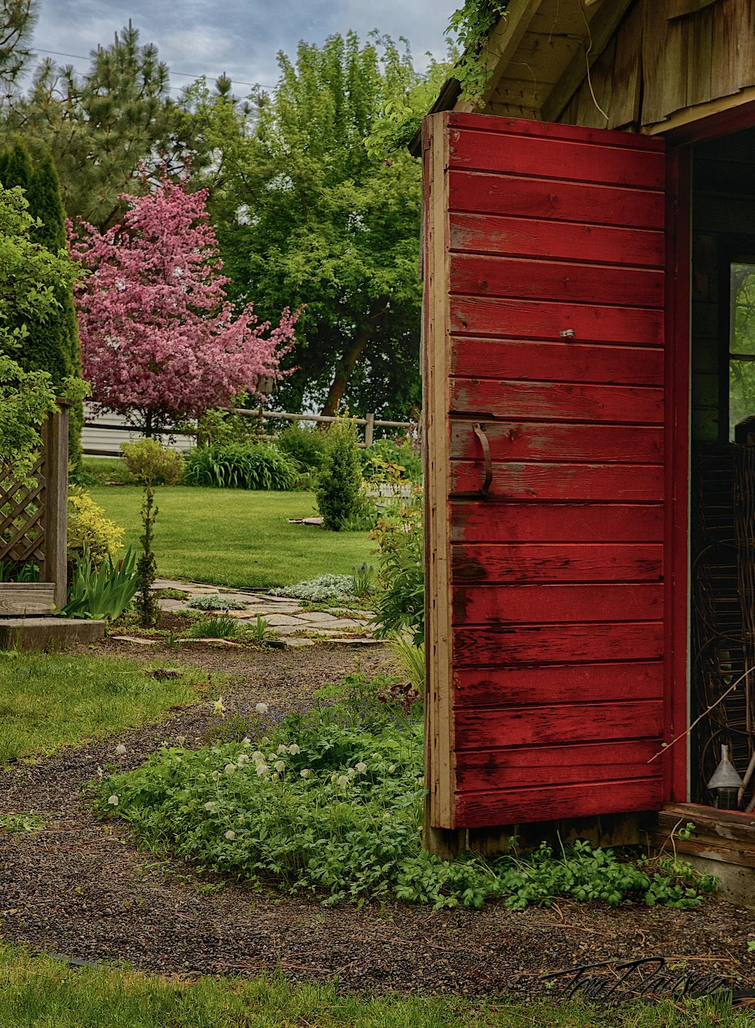 DSC_6235_HDR.jpg