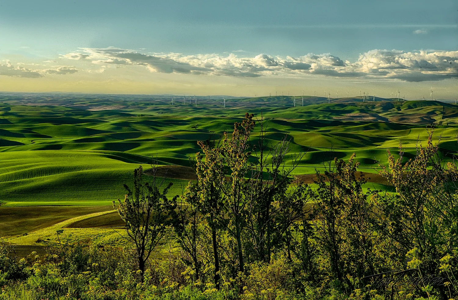 DSC_7171_HDR.jpg