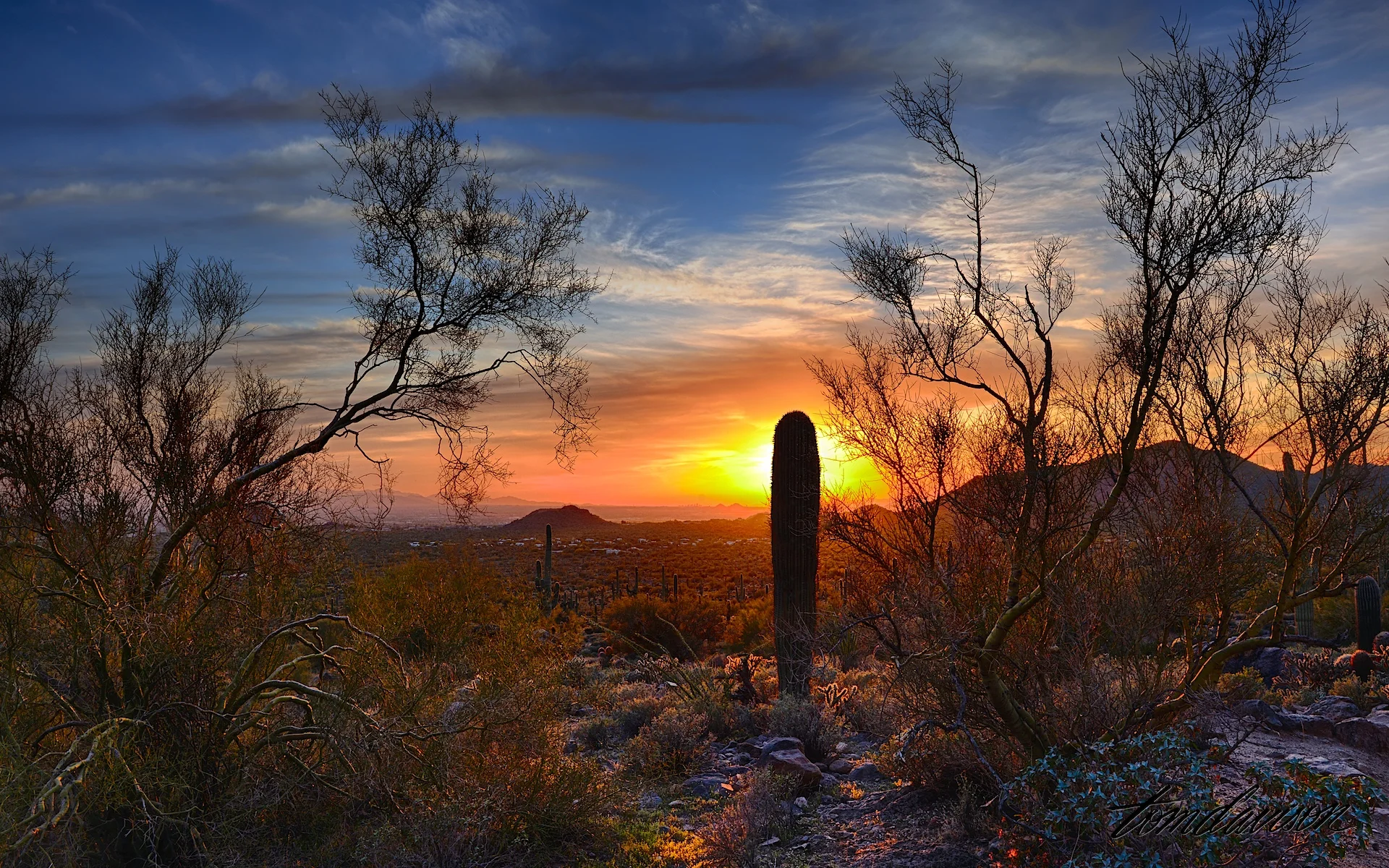 DSC_2166_HDR.jpg
