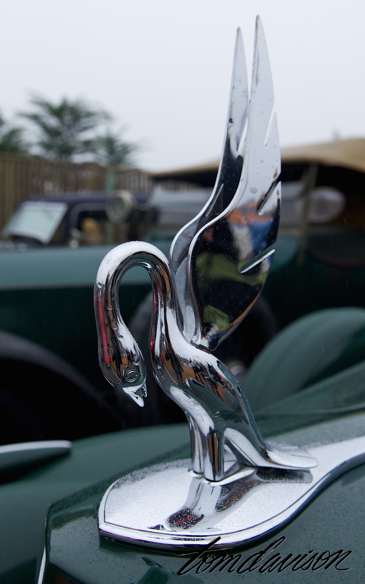 DSC_0494.jpg
