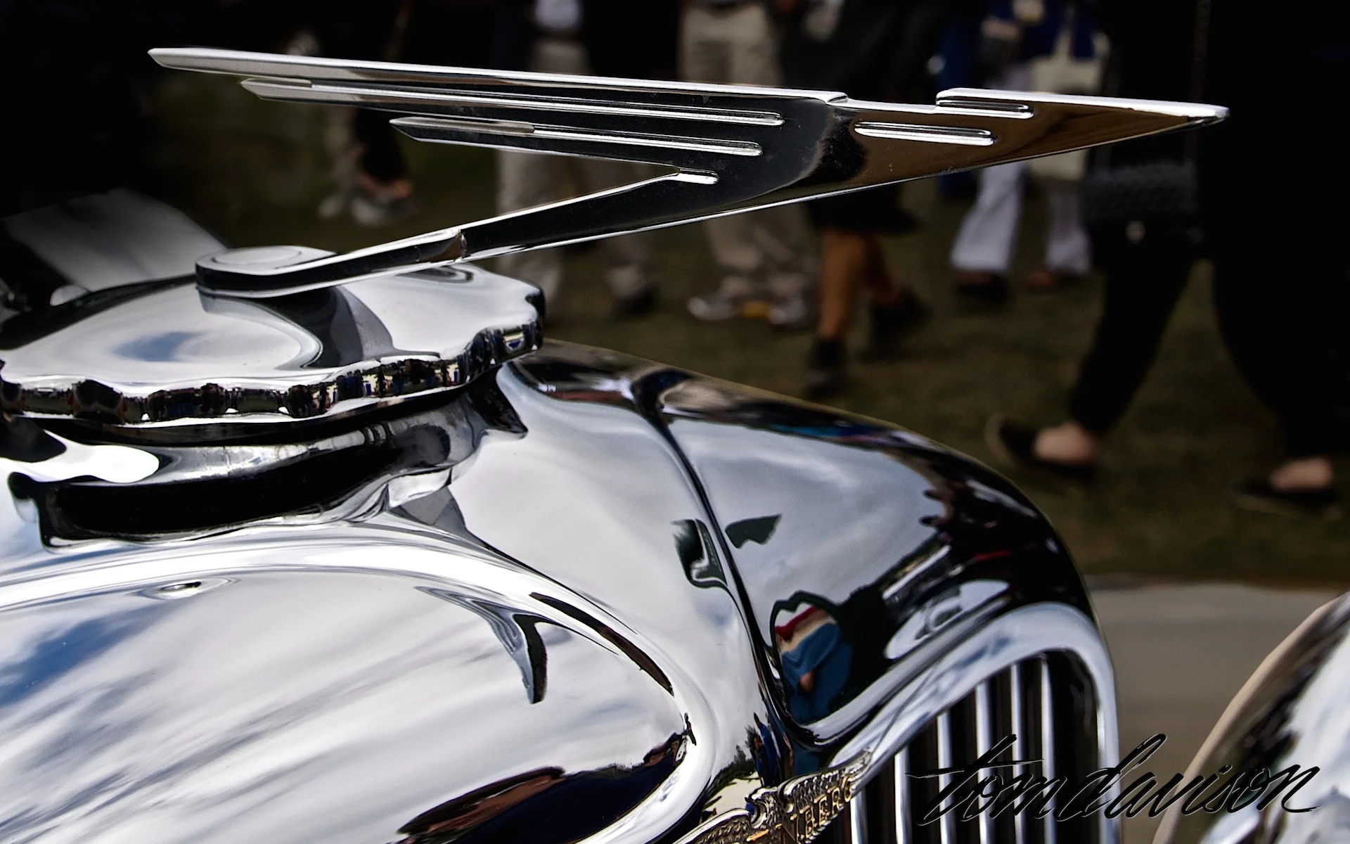 DSC_3997.jpg