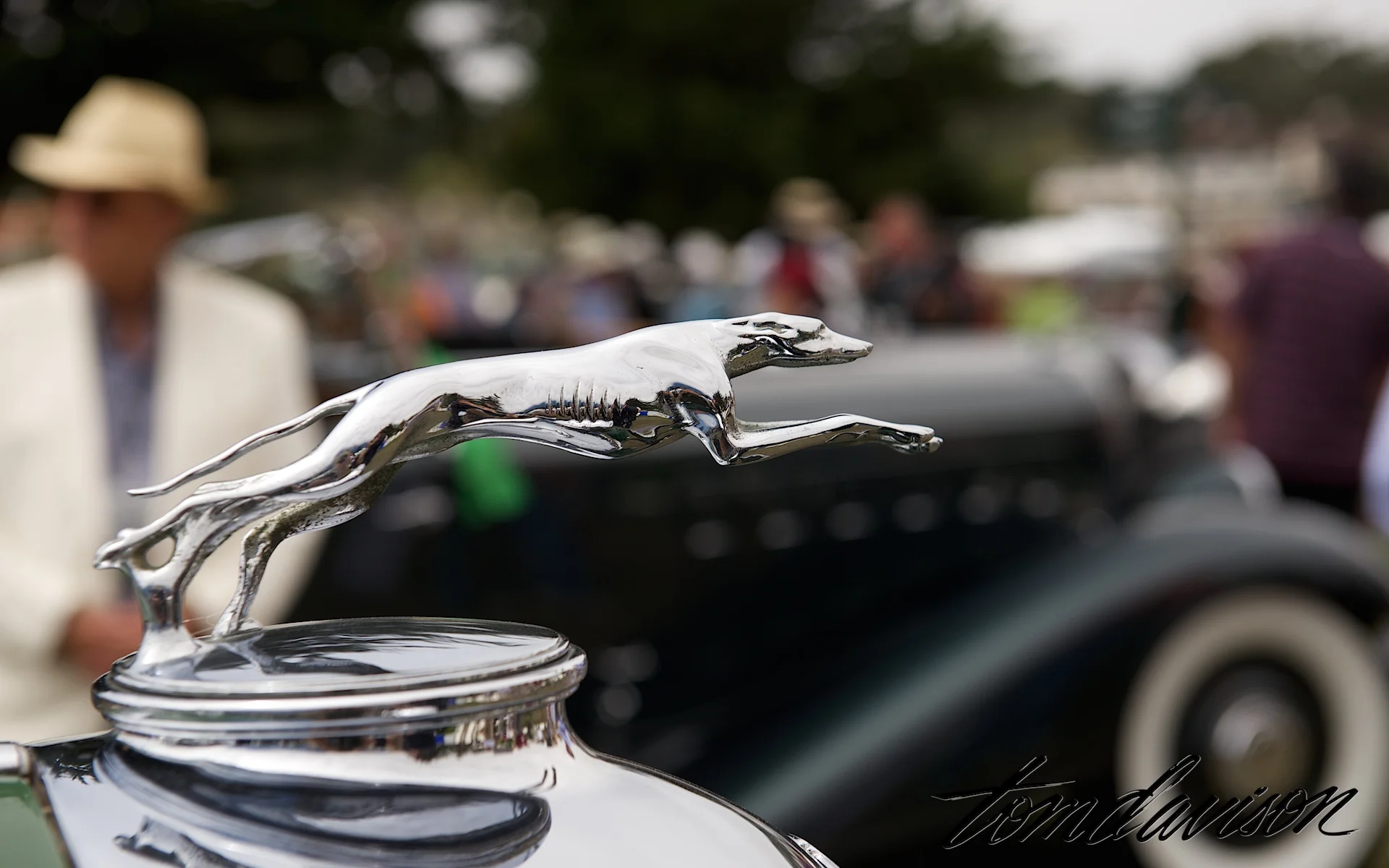 DSC_4611.jpg