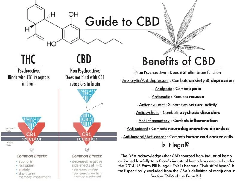 cbd guide.jpg