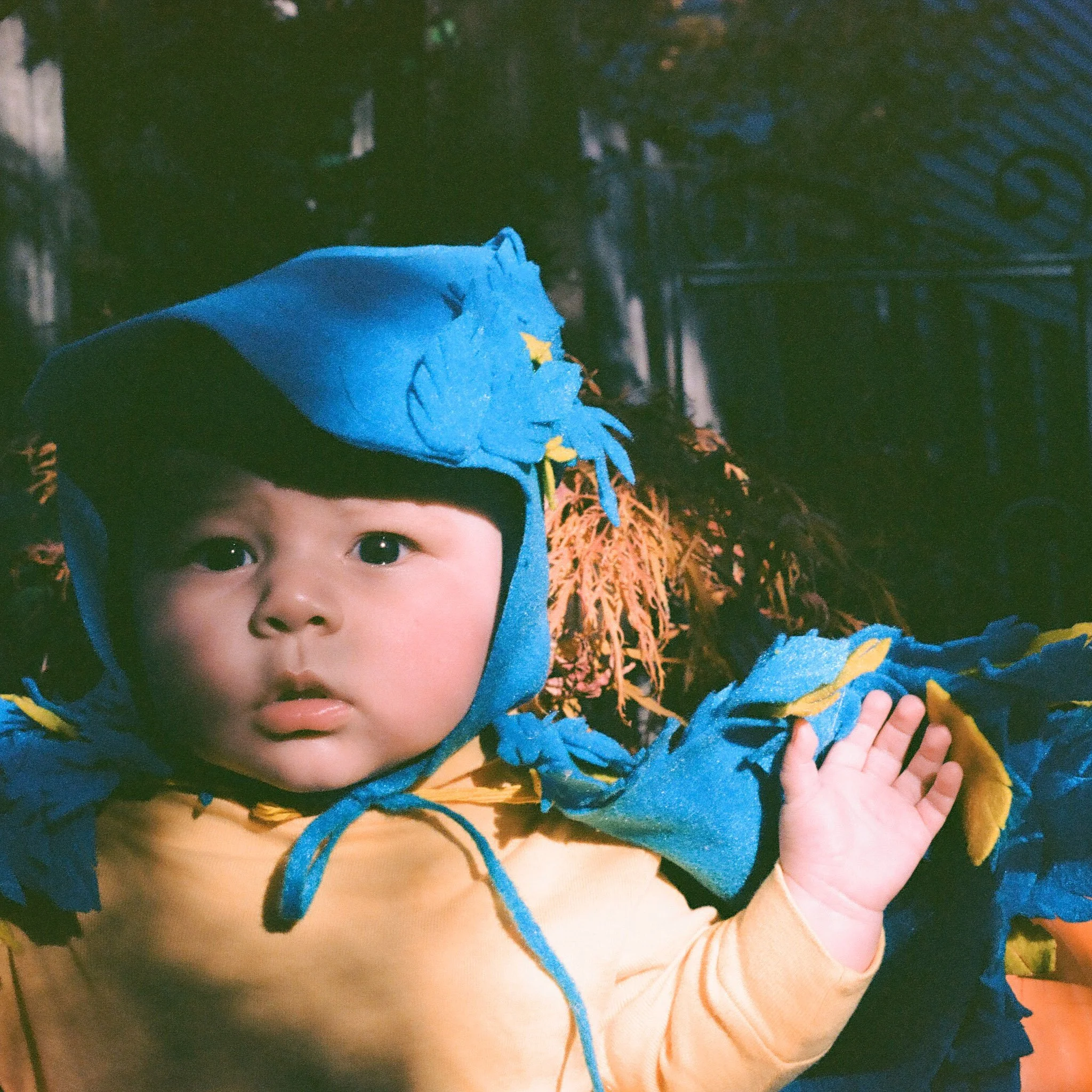Sebastian