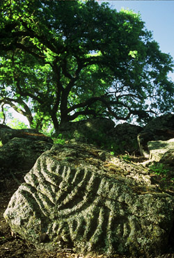  Petroglyphs.