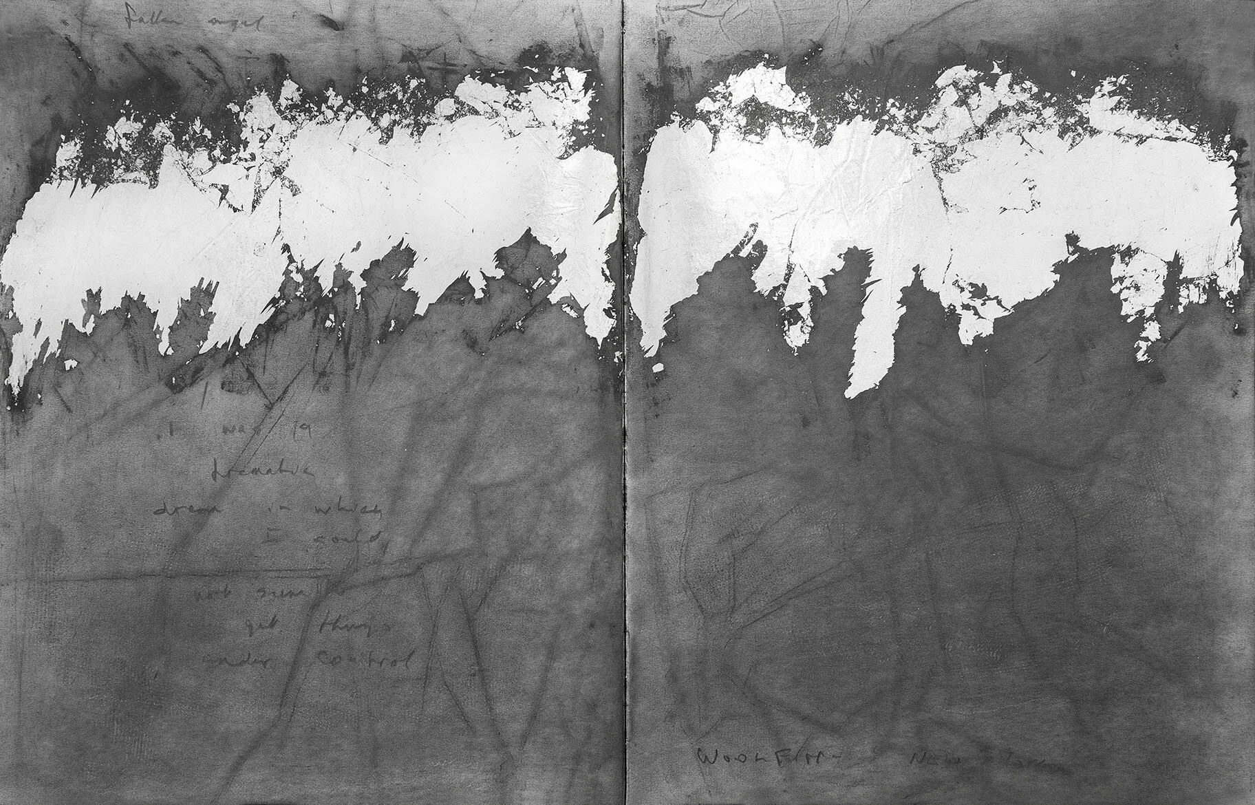 it was a tentative dream...