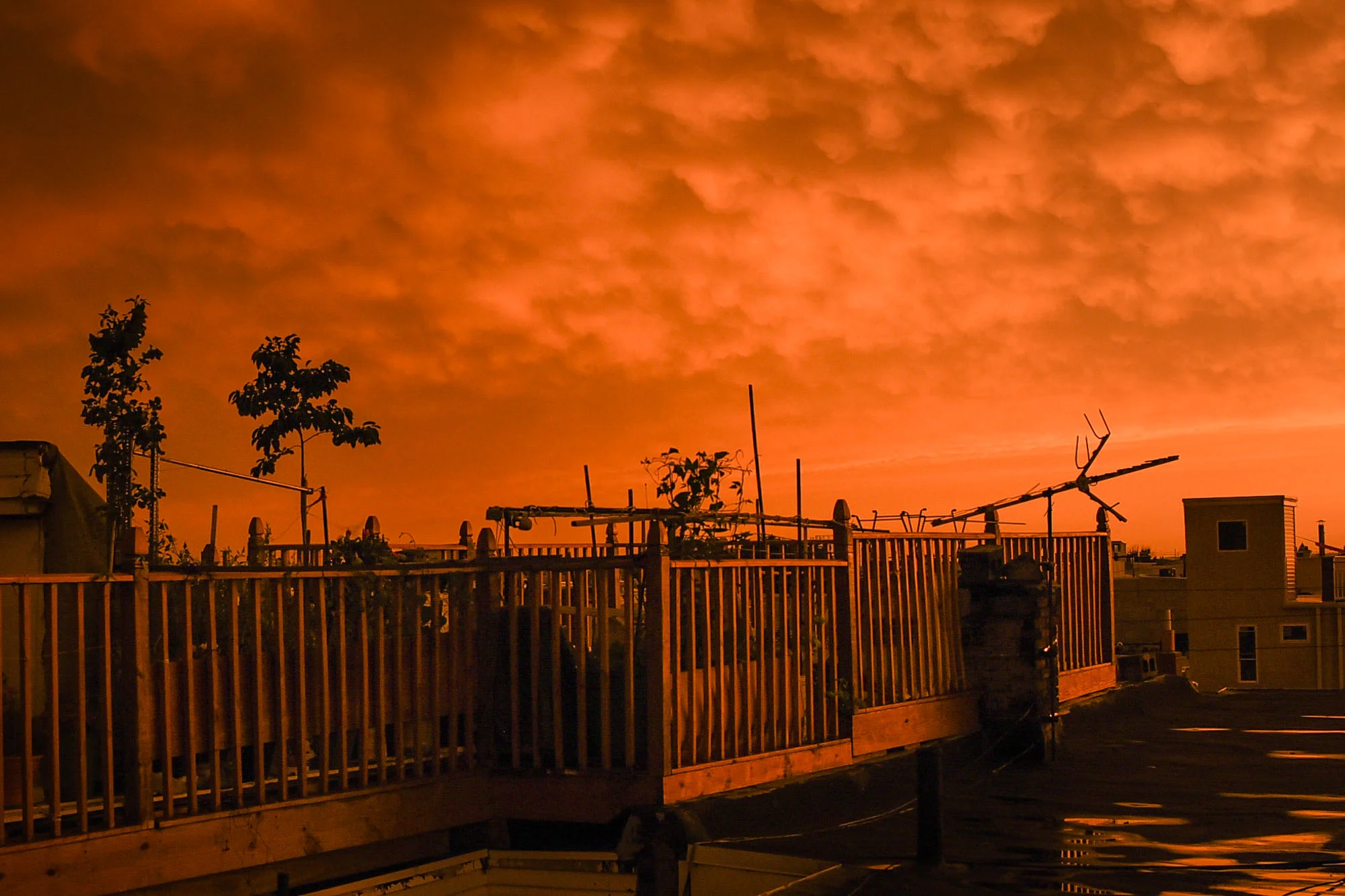 martian sunset.jpg
