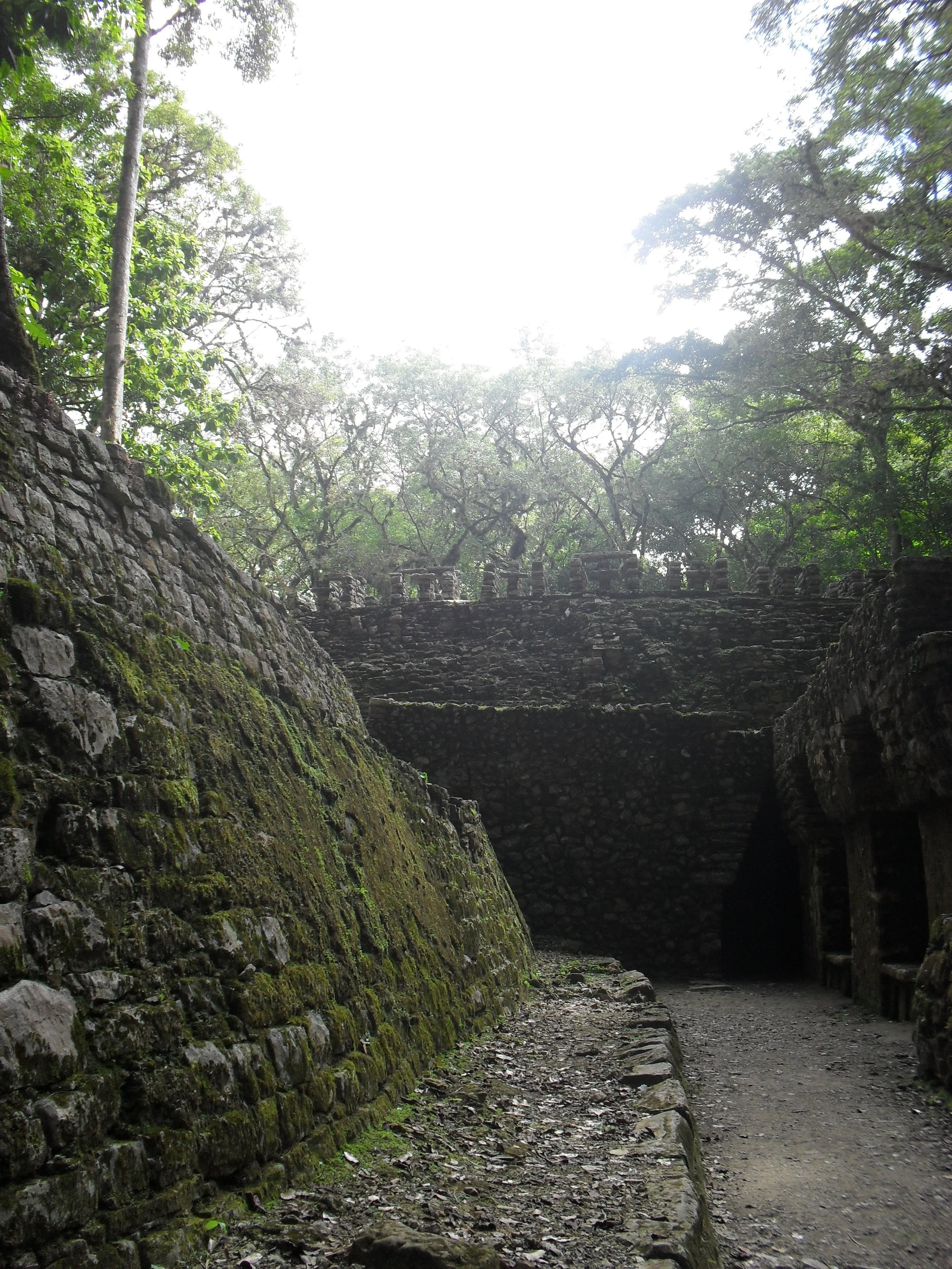 Yaxchilán Entrance.jpg