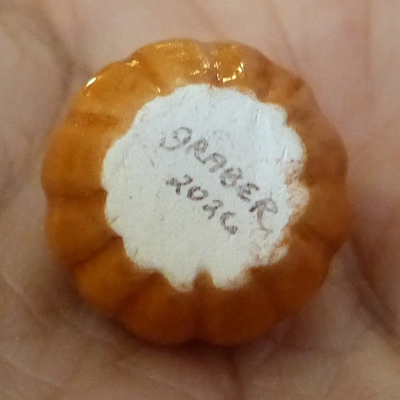 P2230445.jpeg