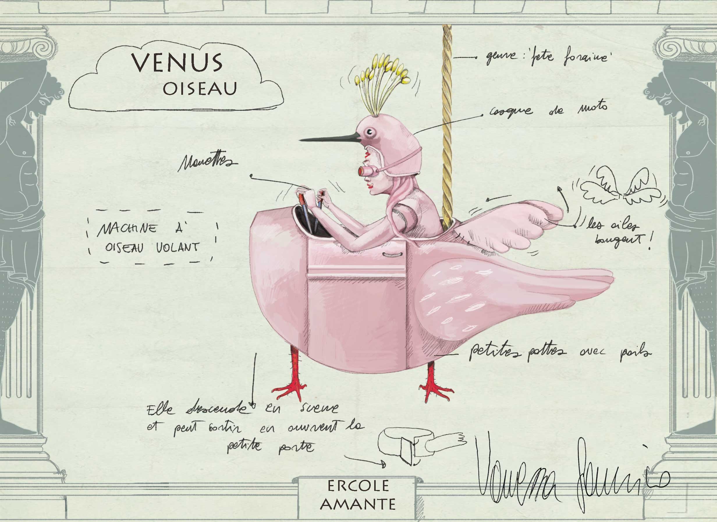 venus-uccello.jpg