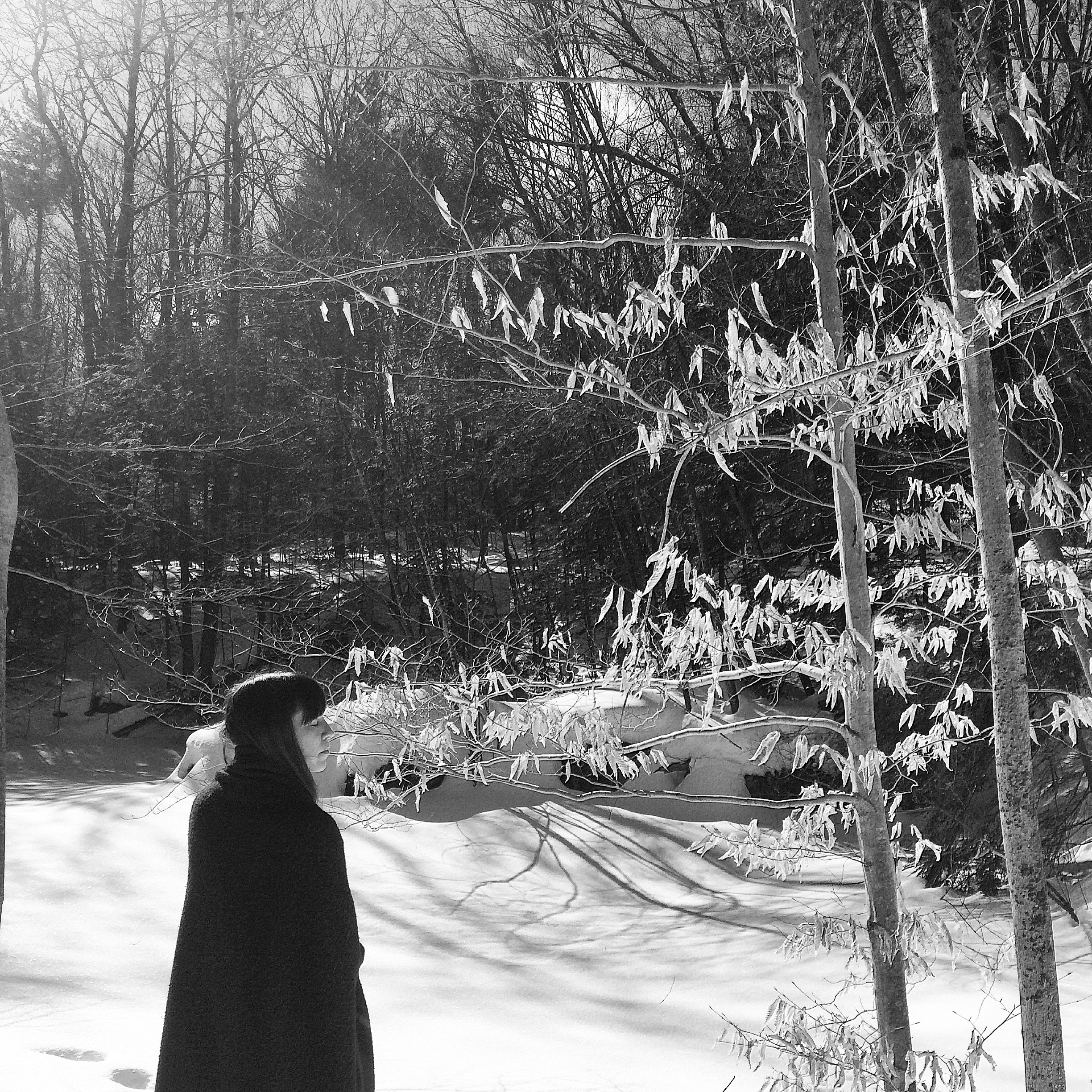 SHED | dance for film