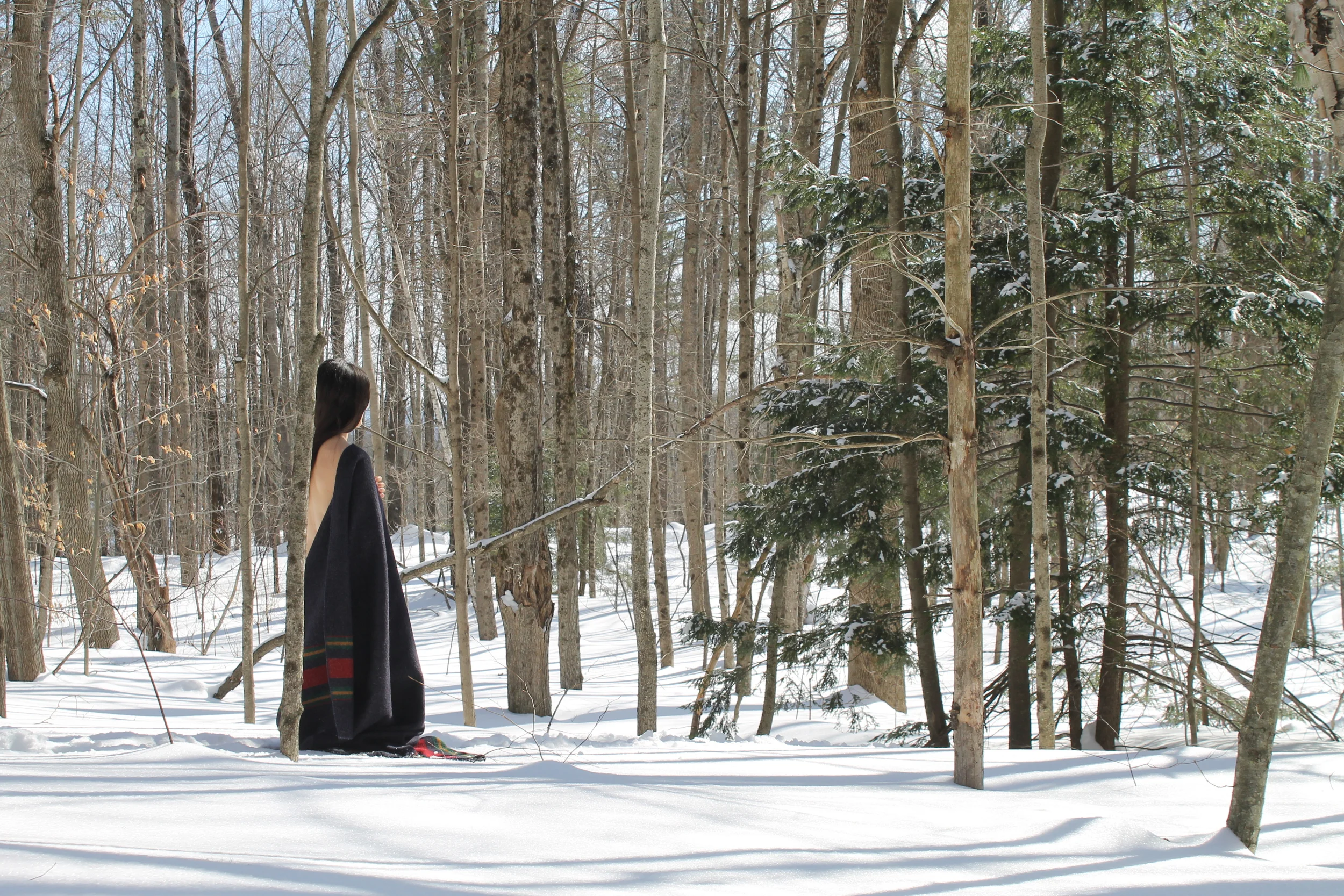 SHED | dance for film