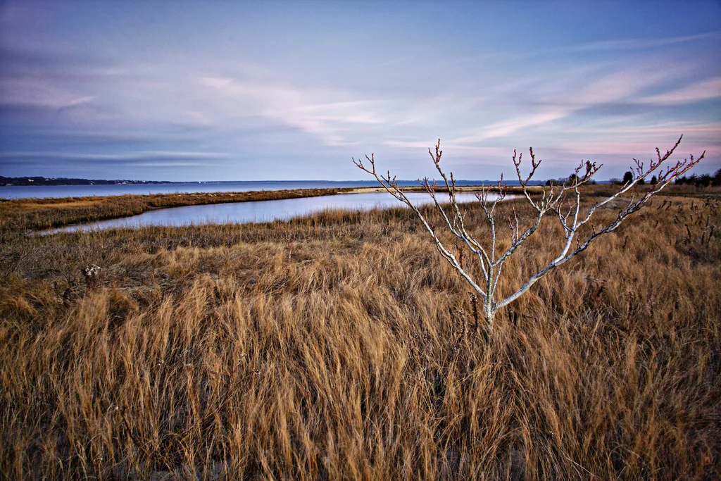 Hampton Bays Photography