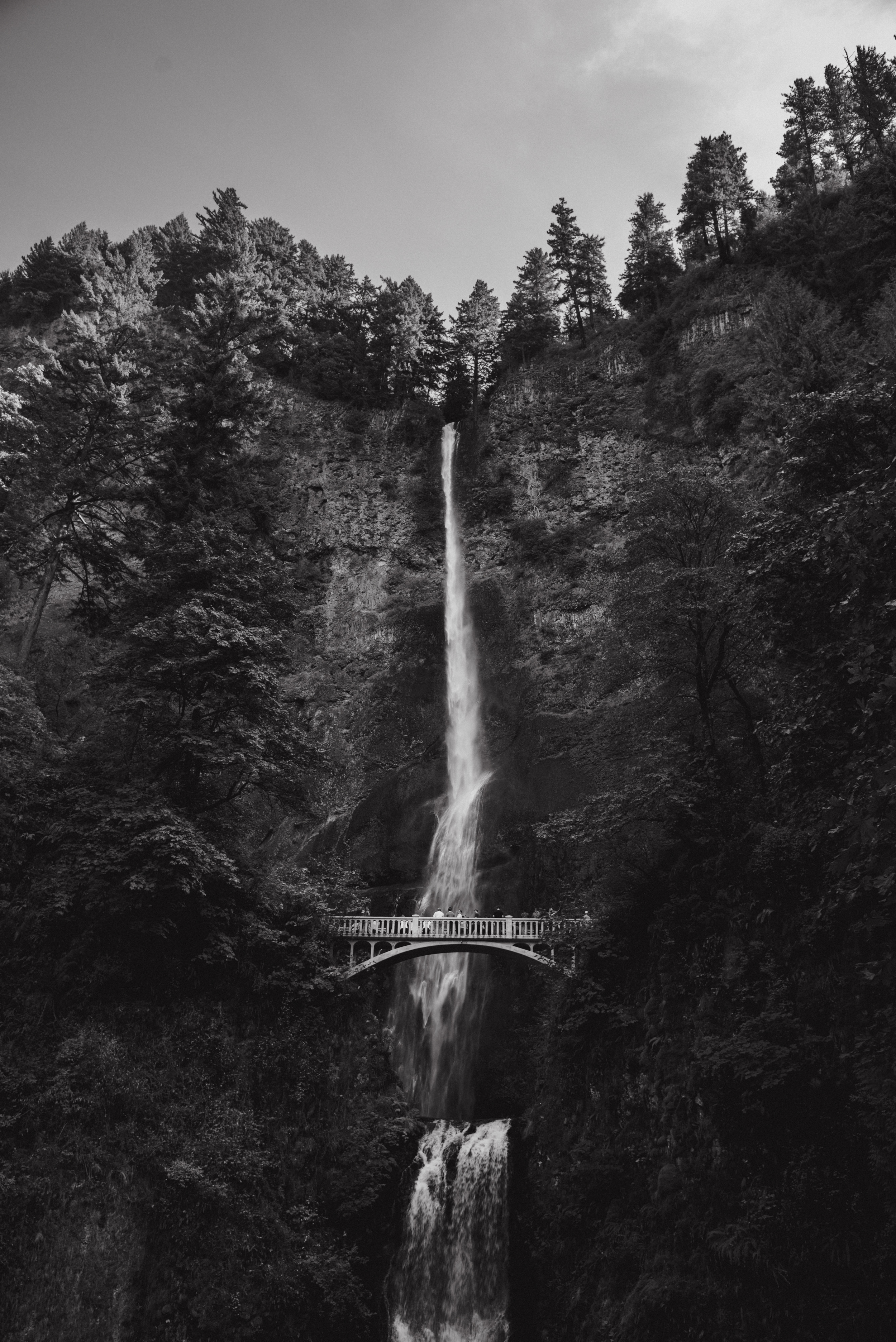 Portland Oregon Photography-2.jpg